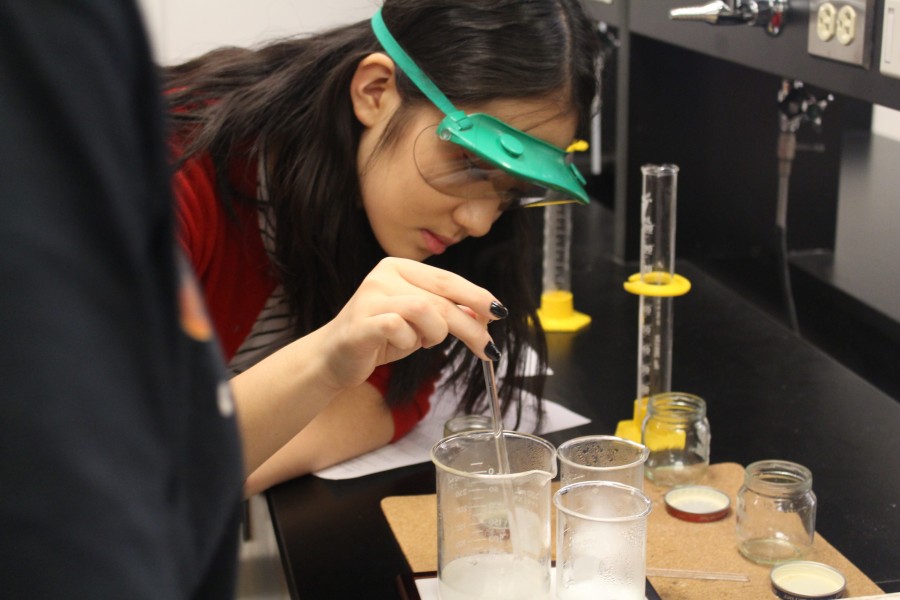 While at Chemistry Club, Nov. 23, sophomore Erin Zhang prepares her snow globe. 