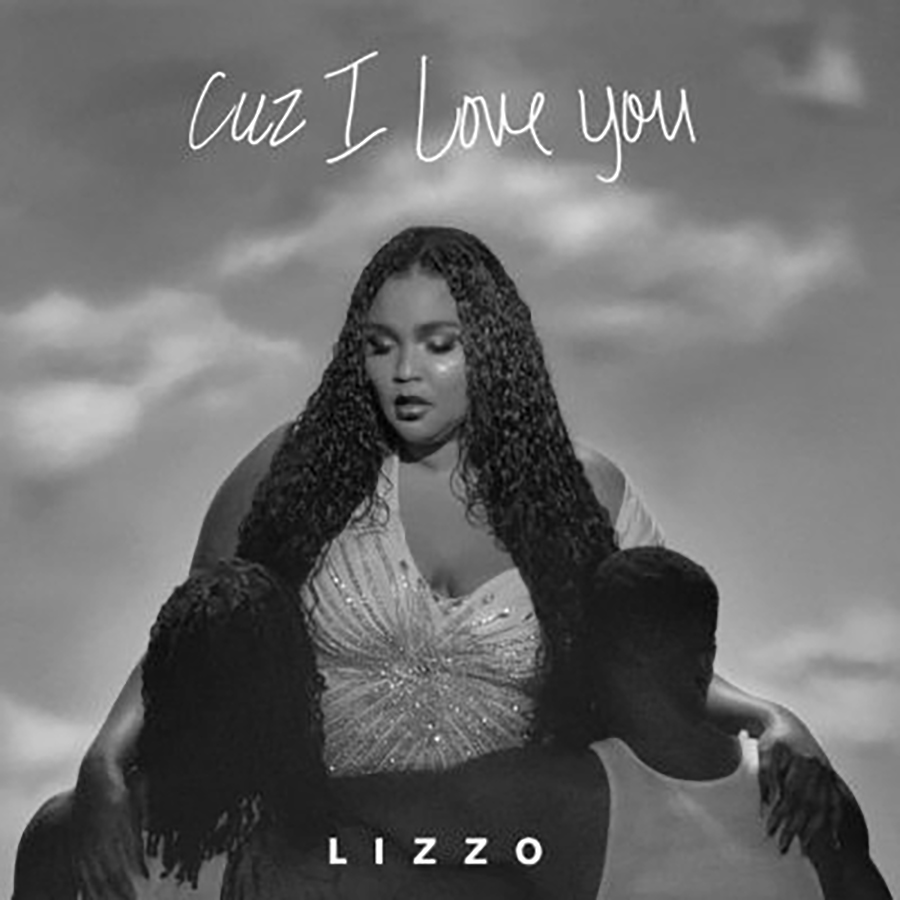Cuz I Love You Album Review