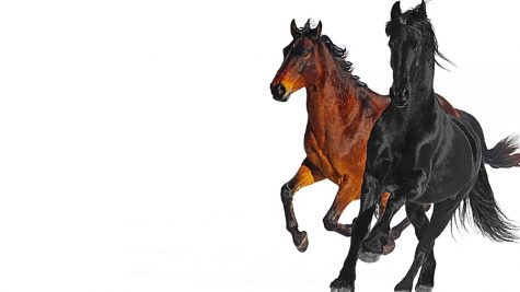 “Old Town Road Remix” Single Review