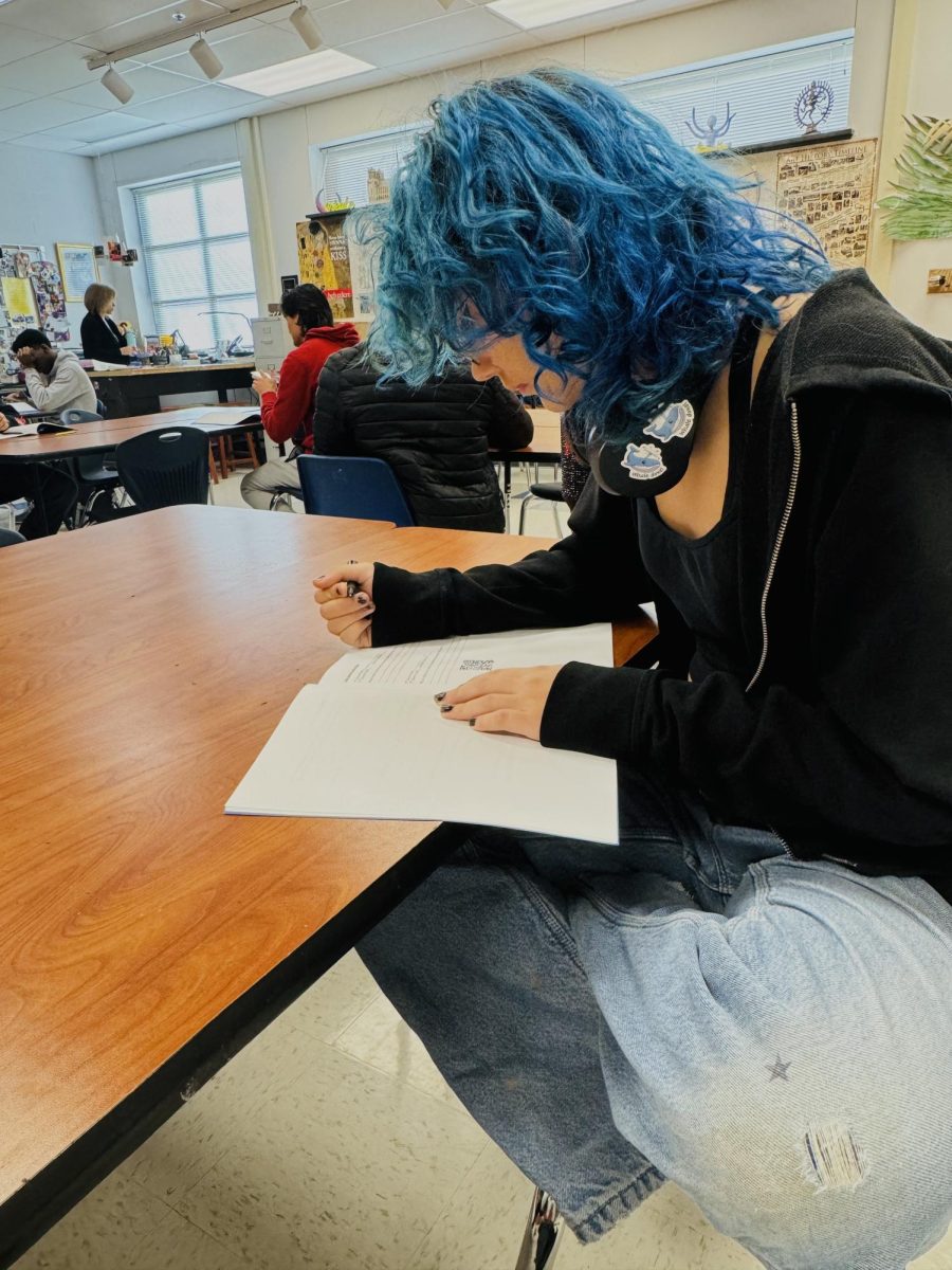 Eyes on the future – Junior Zoe Eickmeier plans out their goals for the school year. “I really look up to my mom. She’s everything I feel like I’m missing in myself, so my goal is to be more like her,” Eickmeier said.
